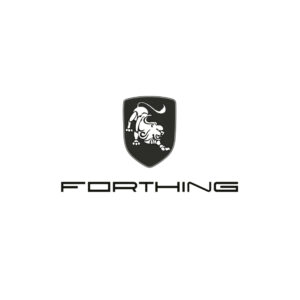 Forthing